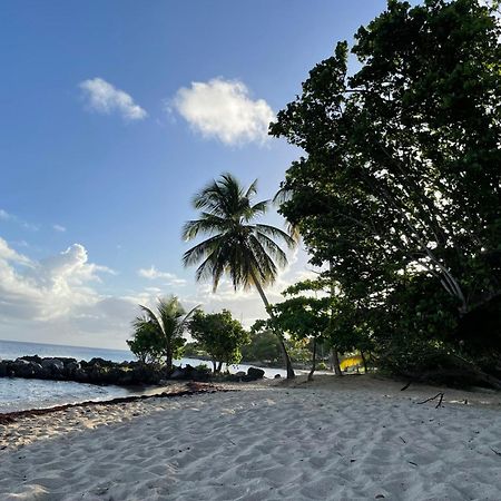 Villa Caraibes Sainte-Luce Bagian luar foto