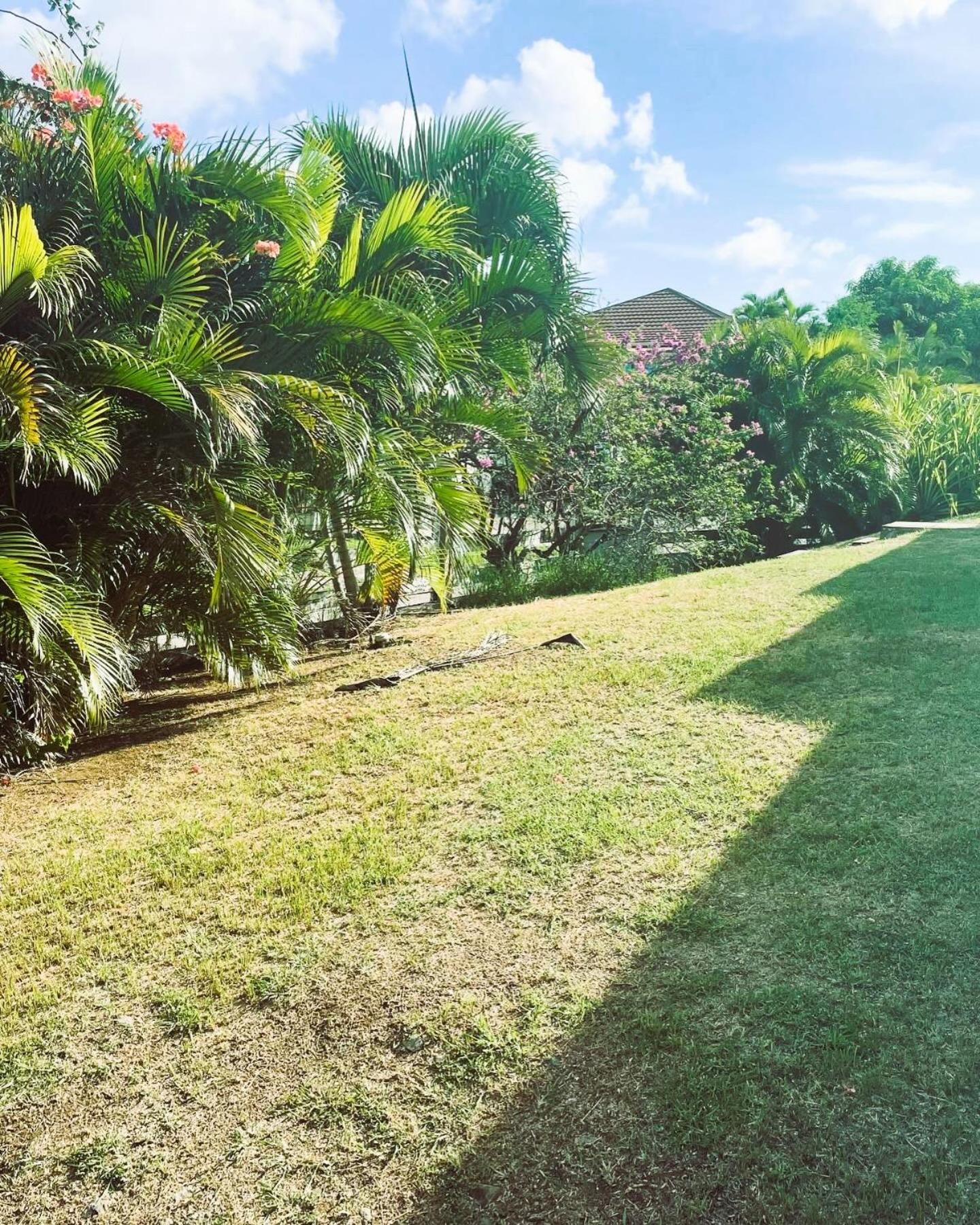 Villa Caraibes Sainte-Luce Bagian luar foto