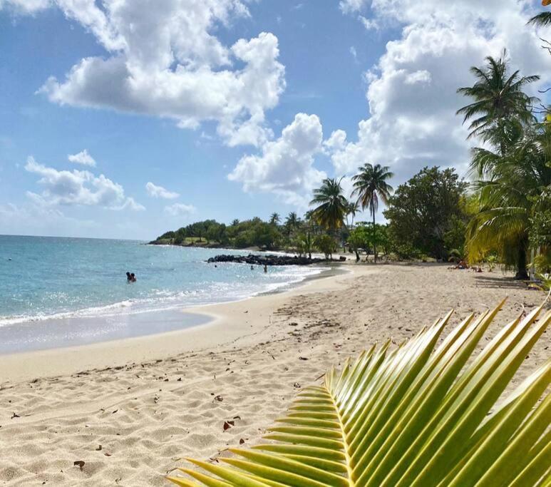 Villa Caraibes Sainte-Luce Bagian luar foto