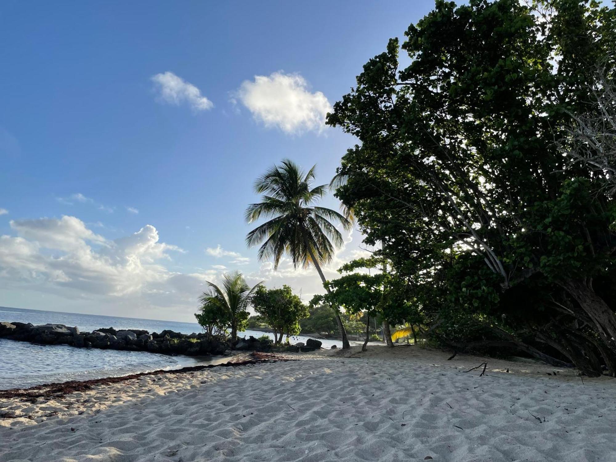Villa Caraibes Sainte-Luce Bagian luar foto